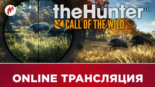 theHunter: Call of the Wild | Охота