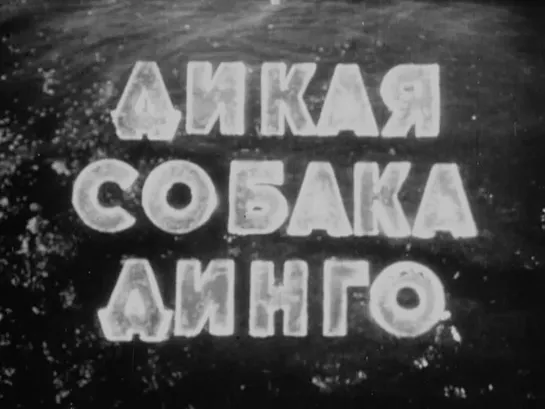 Дикая собака Динго (СССР, 1962, Р. Фраерман)