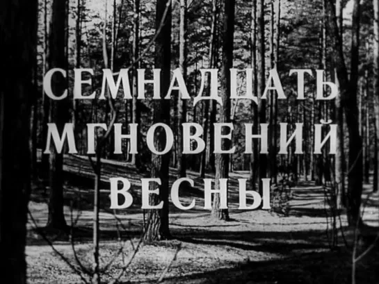 Семнадцать мгновений весны.  4 серия (СССР, 1980)