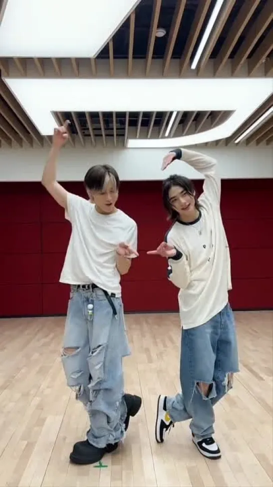 230710 {TikTok} Stray Kids