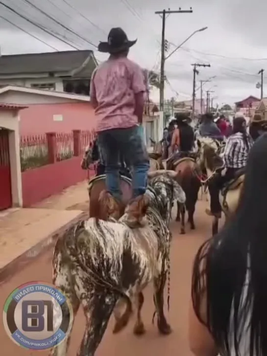 Видео от видео приколы