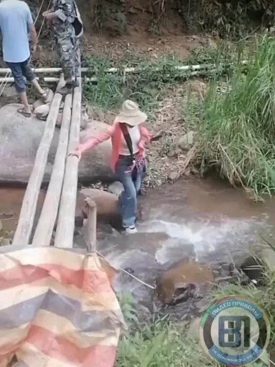 Видео от Видео приколы