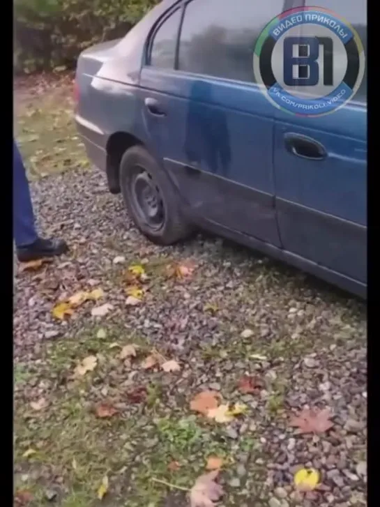 Видео от Видео приколы