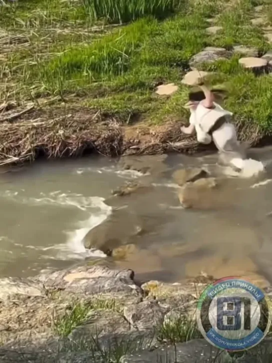 Видео от Видео приколы