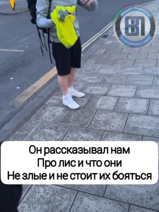 Видео от Видео приколы