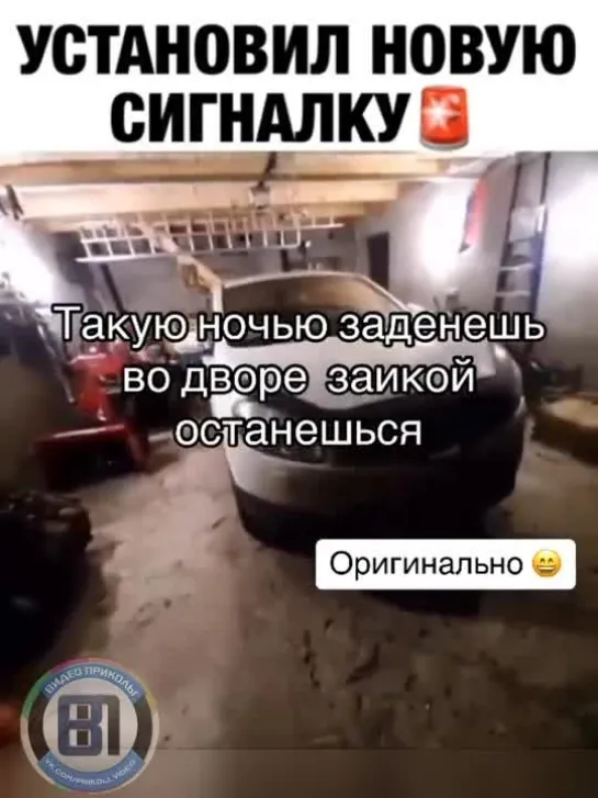 Видео от Видео приколы