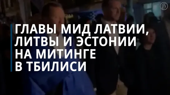 Министры иностранных дел Латвии, Литвы и Эстонии вышли на митинг в Тбилиси