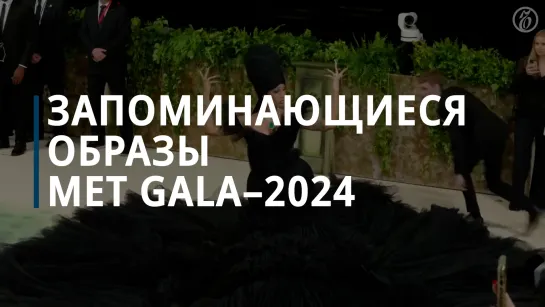 Самые запоминающиеся образы гостей Met Gala 2024