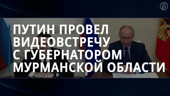 Владимир Путин провел видеовстречу с Андреем Чибисом