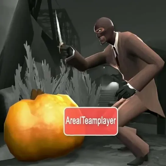 TF2 in the nutshell