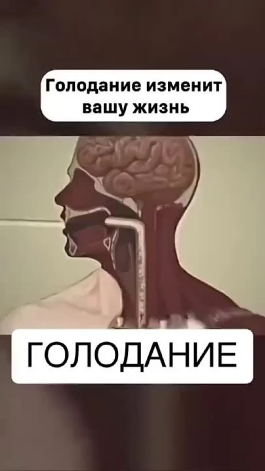 ИНТЕРЕСНЫЕ ФАКТЫ