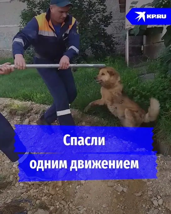 Спасли одним движением