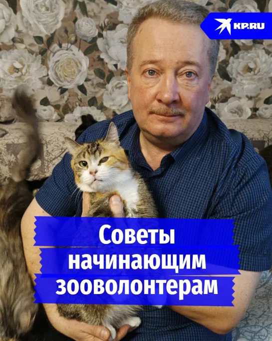 Советы начинающим зооволонтерам