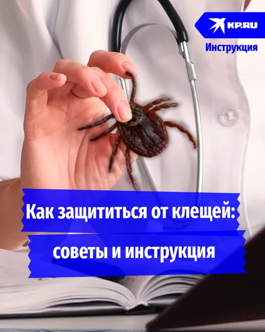 Как защититься от клещей: советы и инструкция