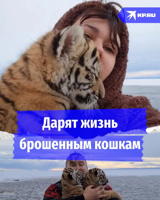 Дарят жизнь брошенным кошкам