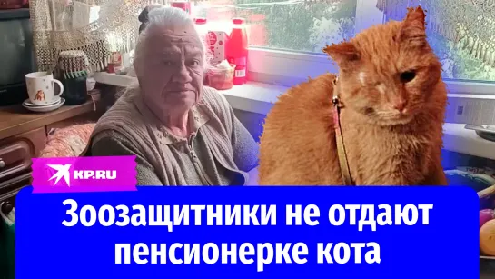 Зоозащитники не отдают пенсионерке кота