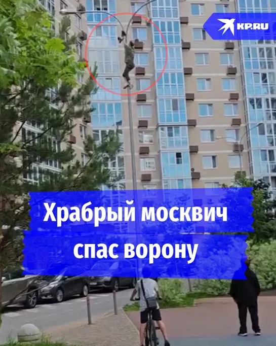 Храбрый москвич спас ворону