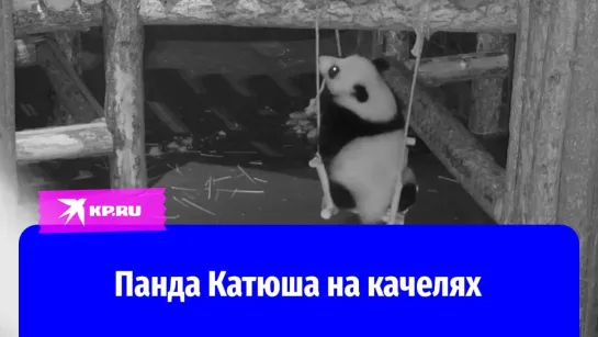 Панда Катюша на качелях