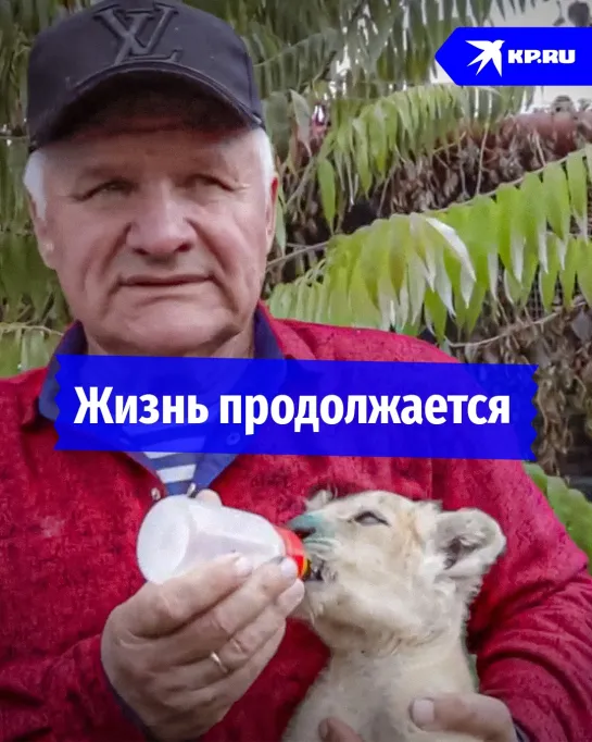 Жизнь продолжается