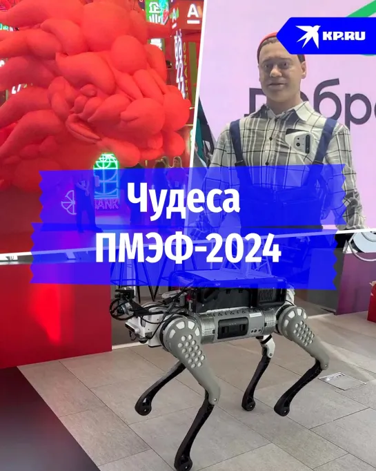 Чудеса ПМЭФ-2024