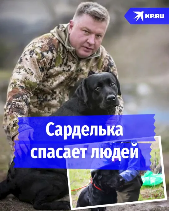 Сарделька спасает людей