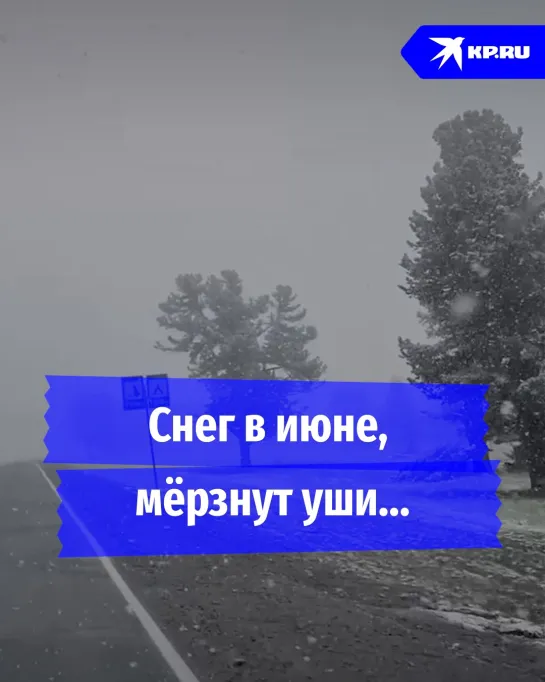 Снег в июне, мёрзнут уши...