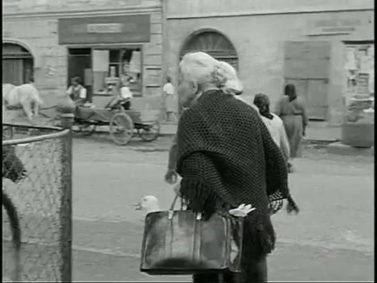 1965 - La tienda en la Calle Mayor (VOSE)