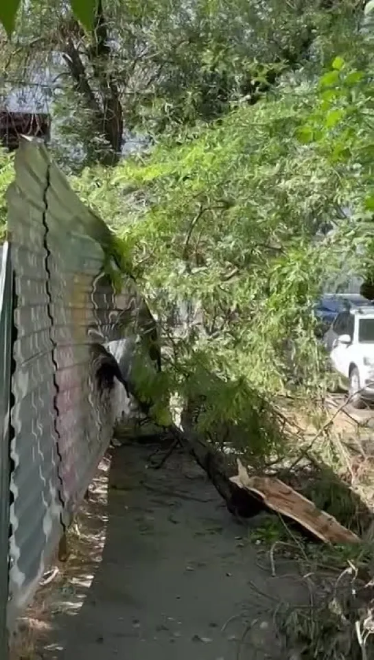 Видео от Алёны Сакериной