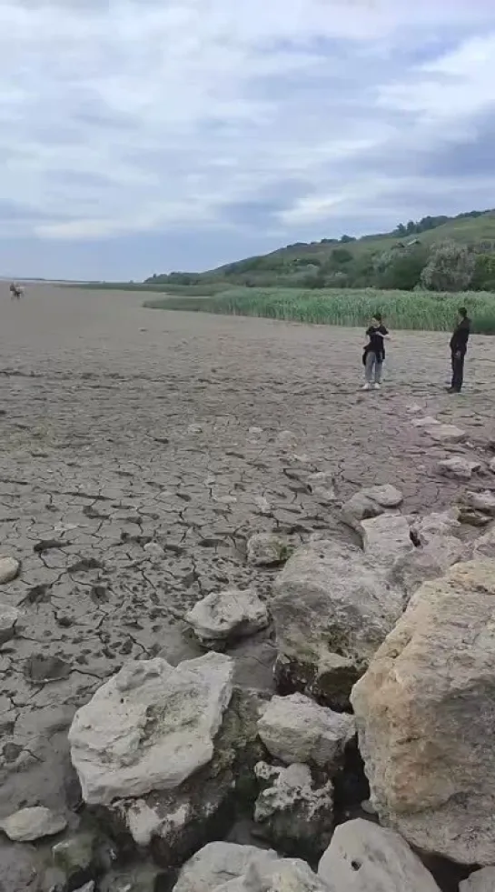 Видео от Гария Вартаньянца