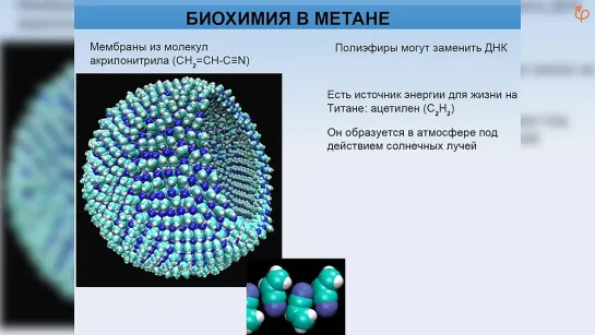 Альтернативная биохимия // Михаил Никитин