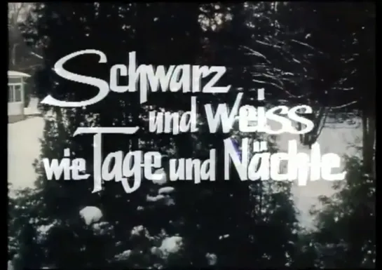 Wolfgang Petersen "Schwarz und weiß wie Tage und Nächte" 1978