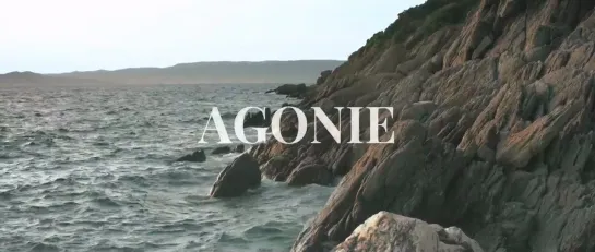 Loïc Guinebault "Agonie" 2021