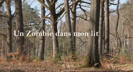 Emmanuel Mouret "Un Zombie dans mon lit" 2019