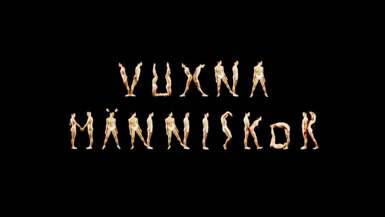 Felix Herngren, Fredrik Lindström "Vuxna människor" 1999