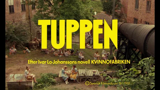 Lasse Hallström "Tuppen" 1981