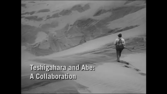 Hiroshi Teshigahara "Teshigahara and Abe: A Collaboration" eng subs