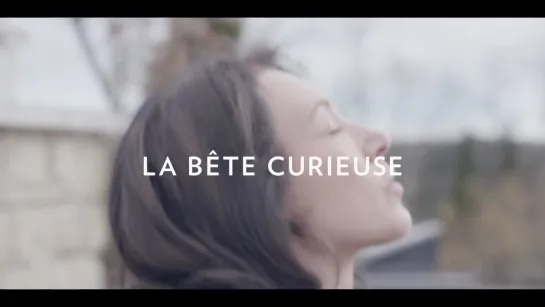 Laurent Perreau "La bête curieuse" 2017