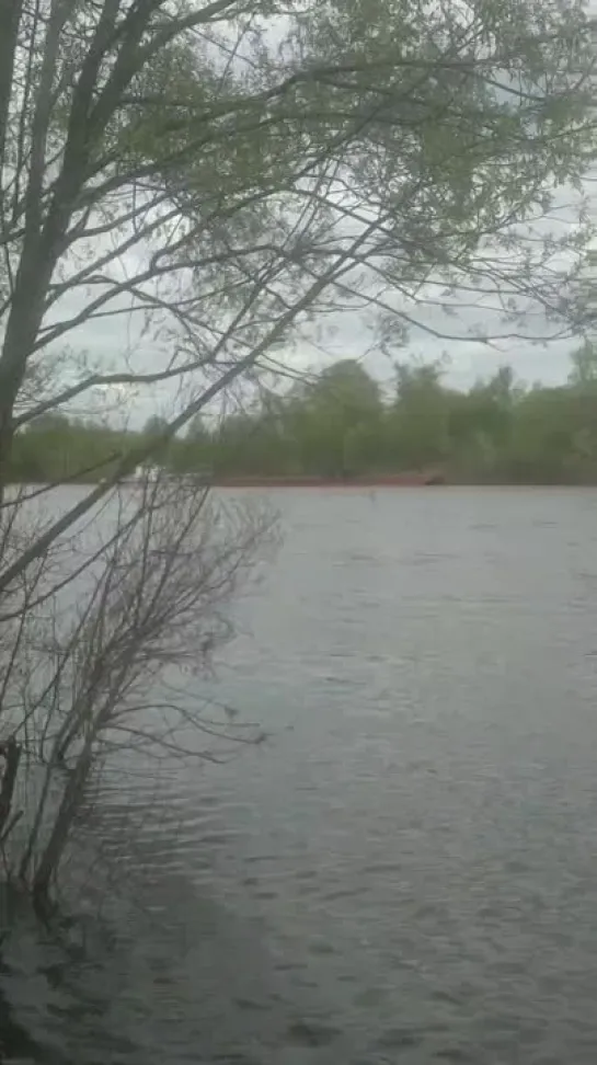 Видео от Сергея Арбузова