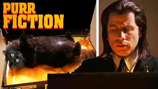 Pulp Fiction with a Cat