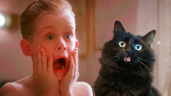 Home Alone with My Cat (OwlKitty Parody)