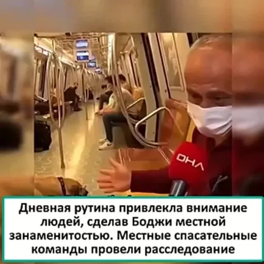 Путешественница