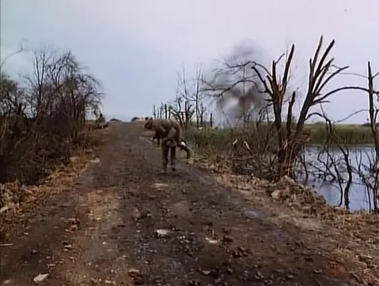 На Западном фронте без перемен (All Quiet On The Western Front) (х.ф) (1979)