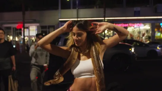 DJ Snake - Middle ft. Bipolar Sunshine ¦ Lexy Panterra Twerk Freestyle