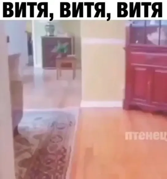 Витя, Витя, Витя...