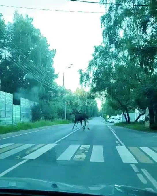 Видео от Типичное Одинцово