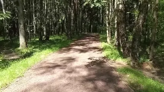 Видео от Типичное Одинцово