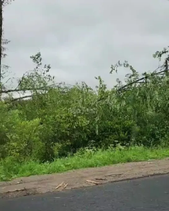 Видео от Типичное Одинцово