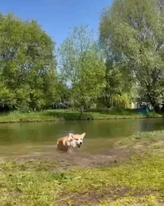 Видео от Типичное Одинцово