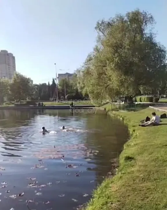 Видео от Типичное Одинцово