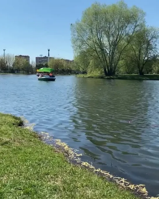 Видео от Типичное Одинцово